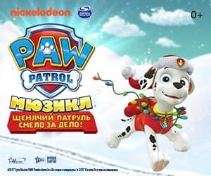 Performance-маркетинг для Paw Patrol