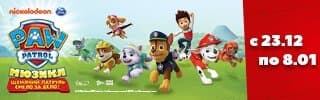 Performance-маркетинг для Paw Patrol