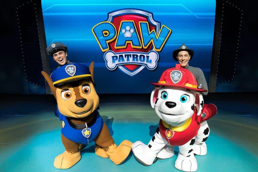 Performance-маркетинг для Paw Patrol