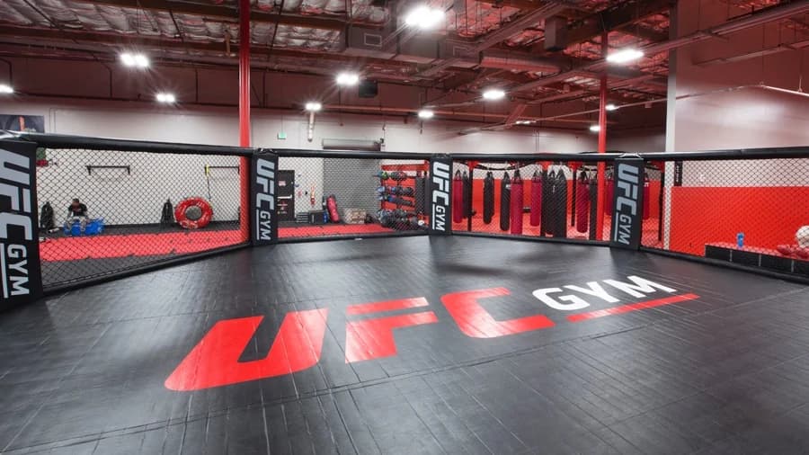 UFC открывает UFC Gym — статистика запросов 1